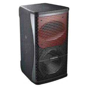 Audiocenter Pf06+ 6" Pasif Hoparlör