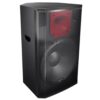 Audiocenter Pl315 15" Pasif Hoparlör