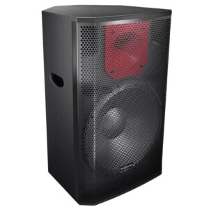 Audiocenter Pl315 15" Pasif Hoparlör