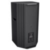 Audiocenter Pl315 15" Pasif Hoparlör - Görsel 2