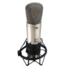 Behringer B-2 Pro Çift Diyaframlı Condenser Stüdyo Kayıt Mikrofonu - Görsel 3