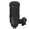 Behringer Bm1 Condenser Stüdyo Mikrofonu - Görsel 3