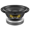 Lavoce Ssf082.00l 8'' Subwoofer