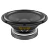 Lavoce Ssf122.50l 12" Subwoofer