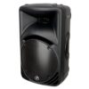 Mackie C300z 12" Pasif Hoparlör - Görsel 2