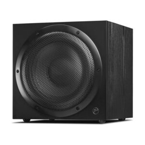 SWAN SUB10G 10" Aktif Subbass