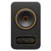 Tannoy Gold5 200w 5" Stüdyo Referans Monitörü
