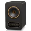 Tannoy Gold5 200w 5" Stüdyo Referans Monitörü - Görsel 2