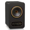 Tannoy Gold5 200w 5" Stüdyo Referans Monitörü - Görsel 4